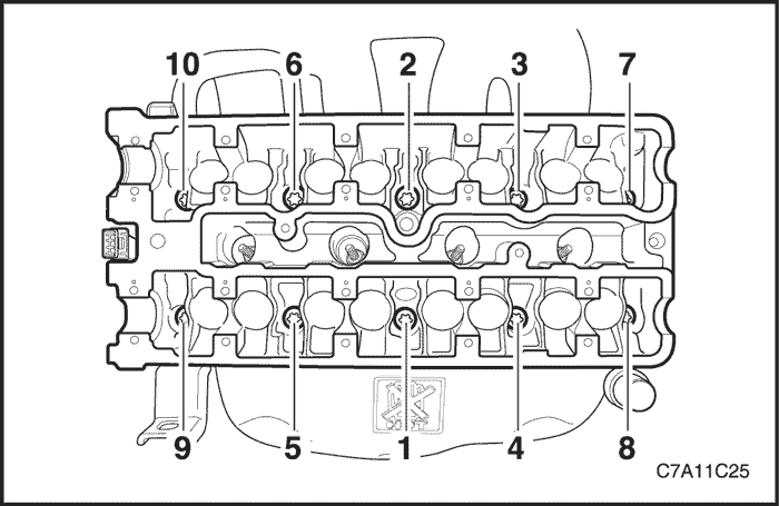 C7A11C25