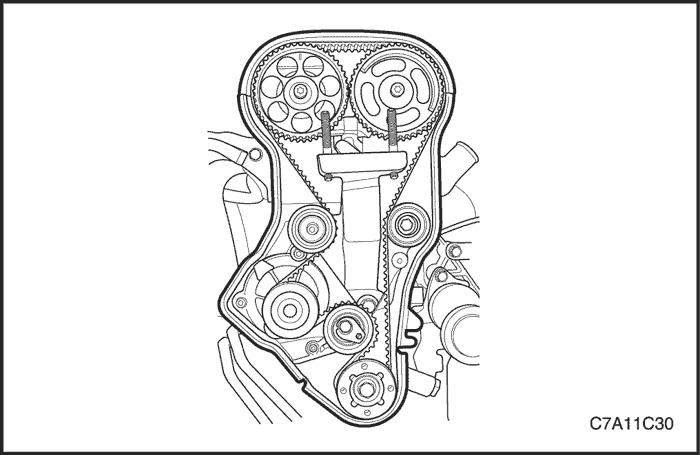 C7A11C30