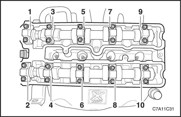 C7A11C31