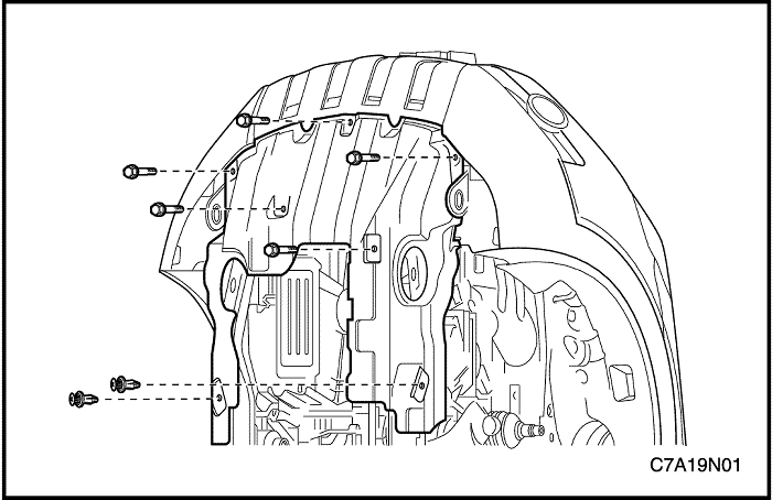 C7A19N01