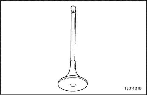 T3B11B1B
