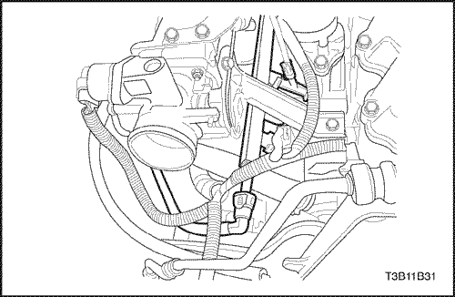 T3B11B31