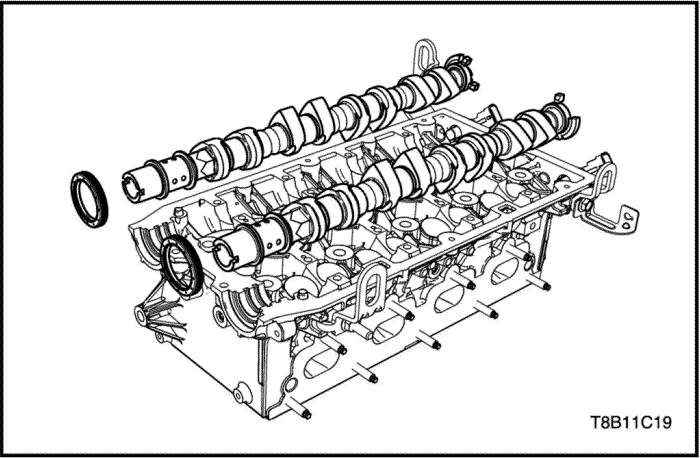 T8B11C19