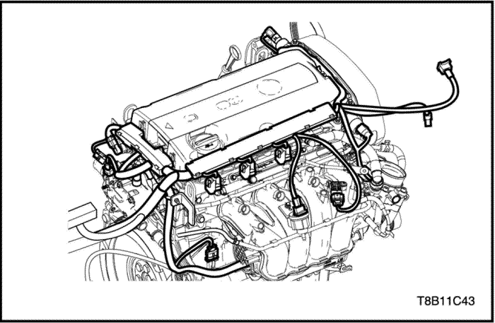 T8B11C43